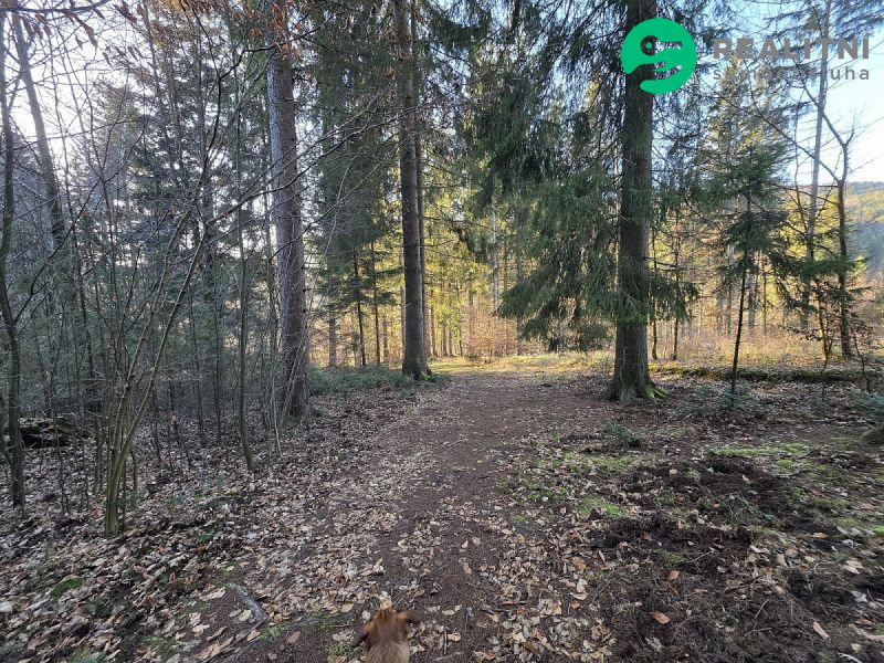 Podíl na lesních pozemcích Vsetín - Semetín