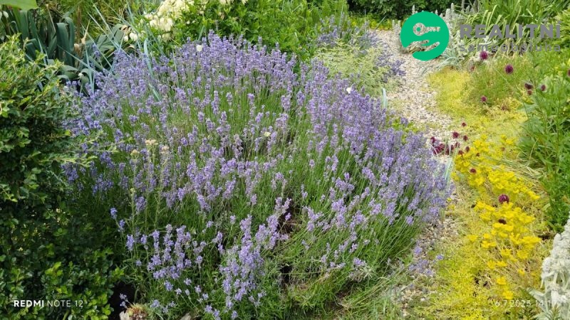 Chata se zahradou 30 m2 Tušimice