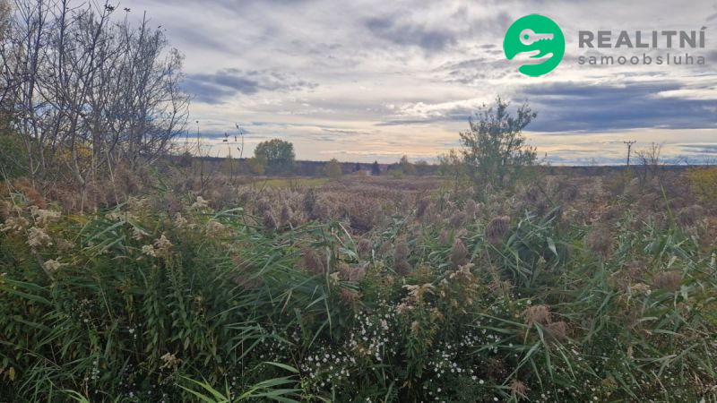 Pozemek ke stavbě Dubňany