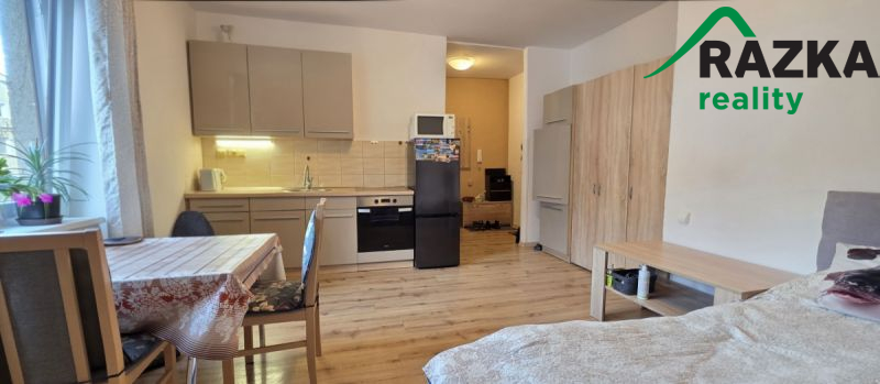 Byt 1+KK (27 m2) Tachov, ul. B. Němcové