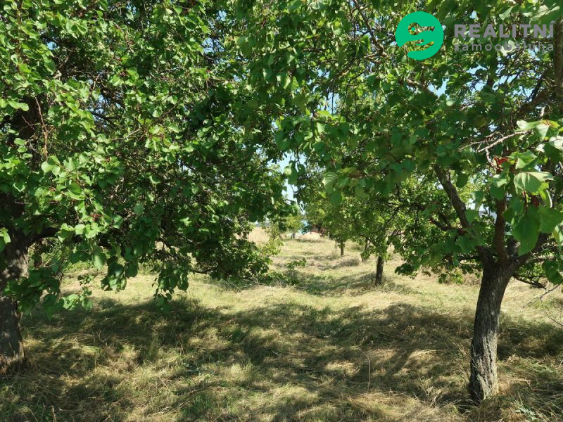 Zahrada k rodinnému domu Velké Pavlovice