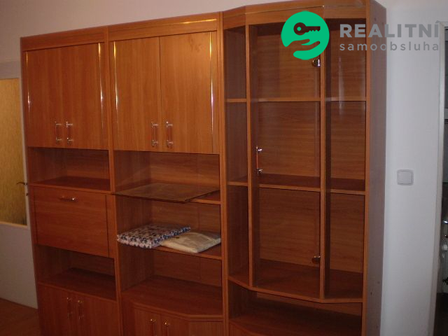 Pronajmu byt 1+1  Praha