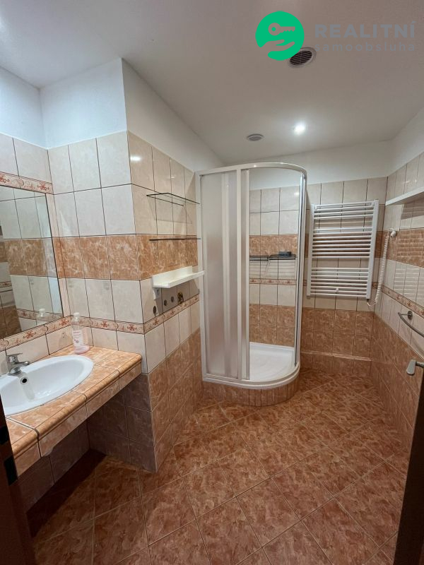 Pronájem bytu 2+1 52 m²