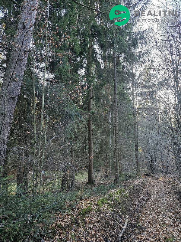 Podíl na lesních pozemcích Vsetín - Semetín