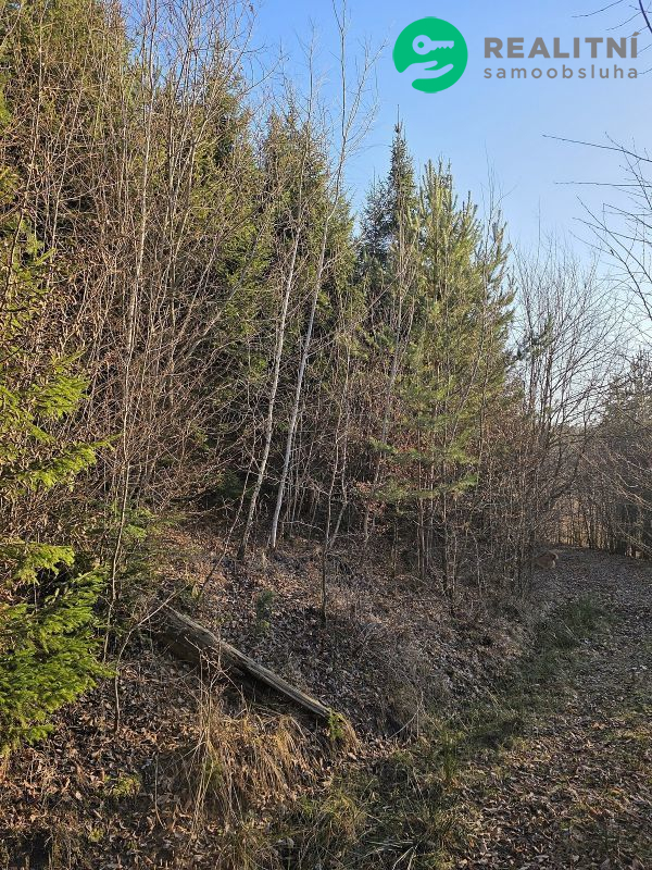 Podíl na lesních pozemcích Vsetín - Semetín