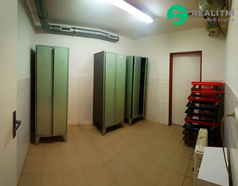 Nájem prostor skladů, výroby, Netvořice (okr. Bene