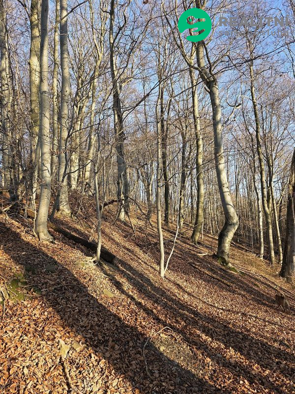 Podíl na lesních pozemcích Vsetín - Semetín