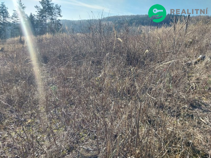 lesní pozemek k. ú. Spešov