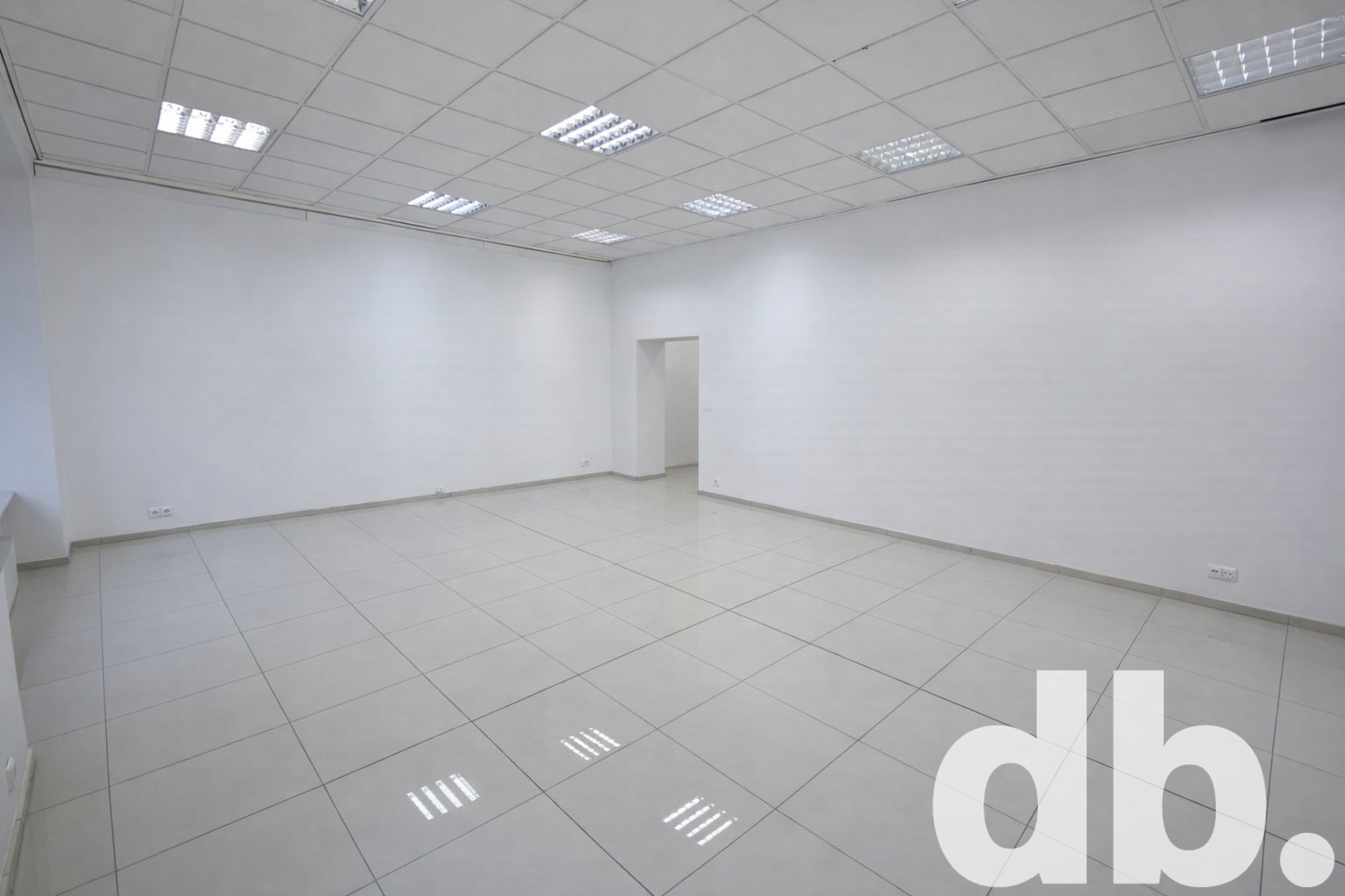 prava světla a expooo