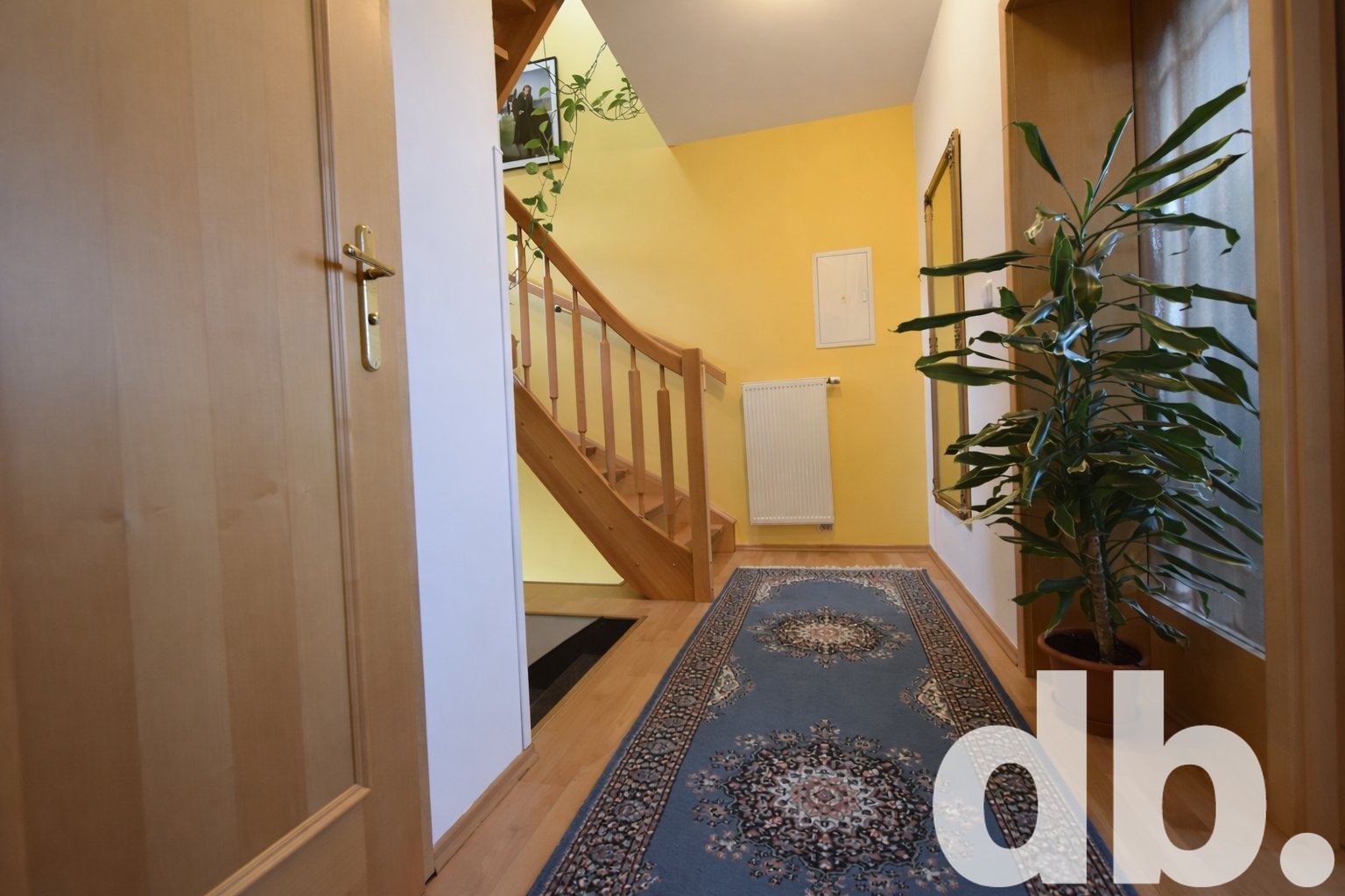 Technická úprava svě