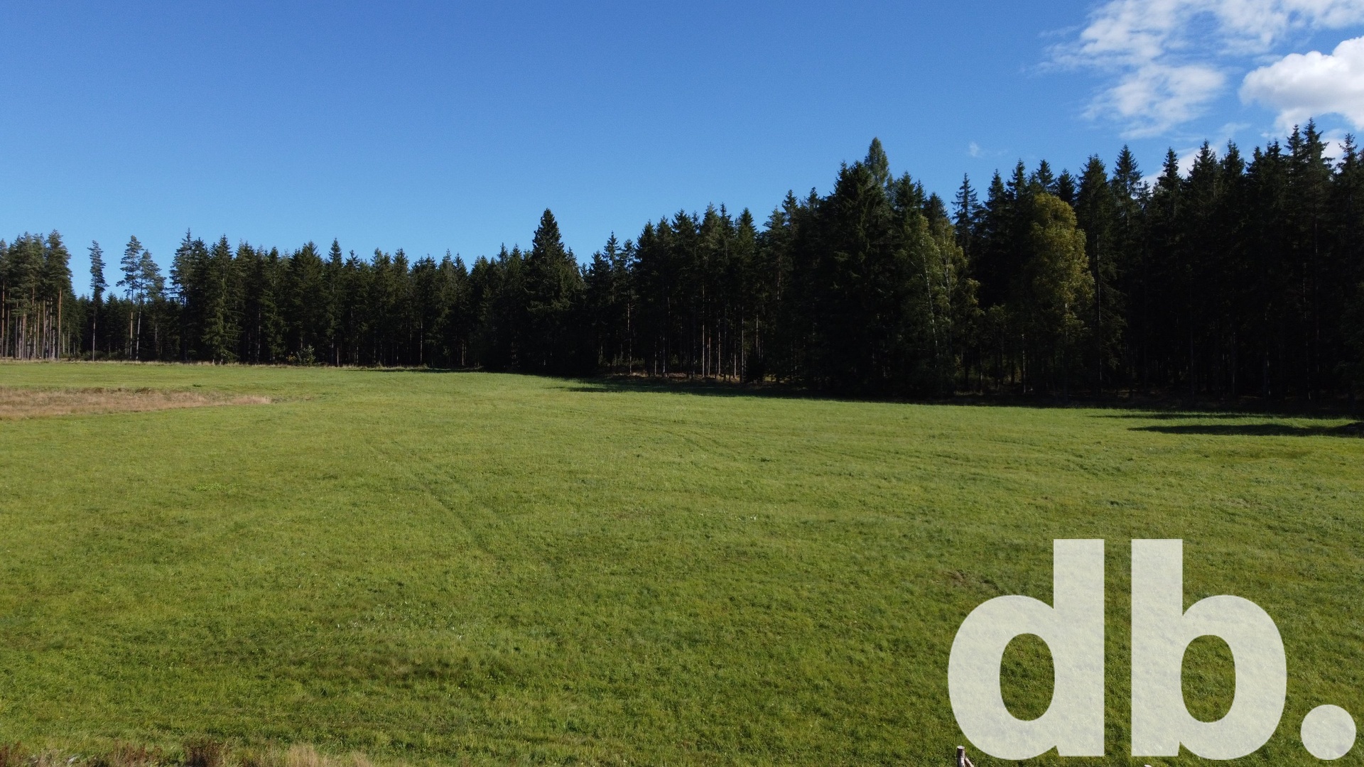 DJI_0356