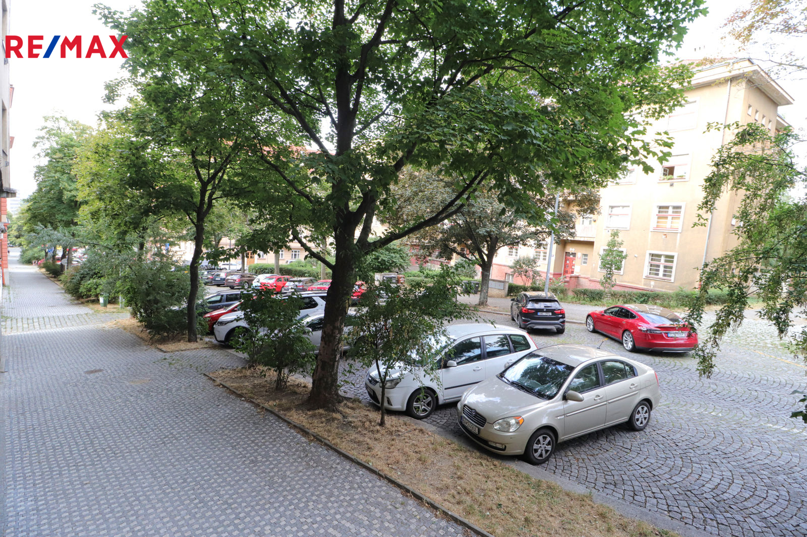 Pohled z okna