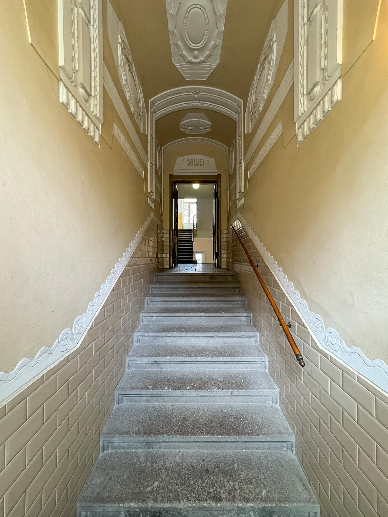 13vstup.1747644186.jpg
