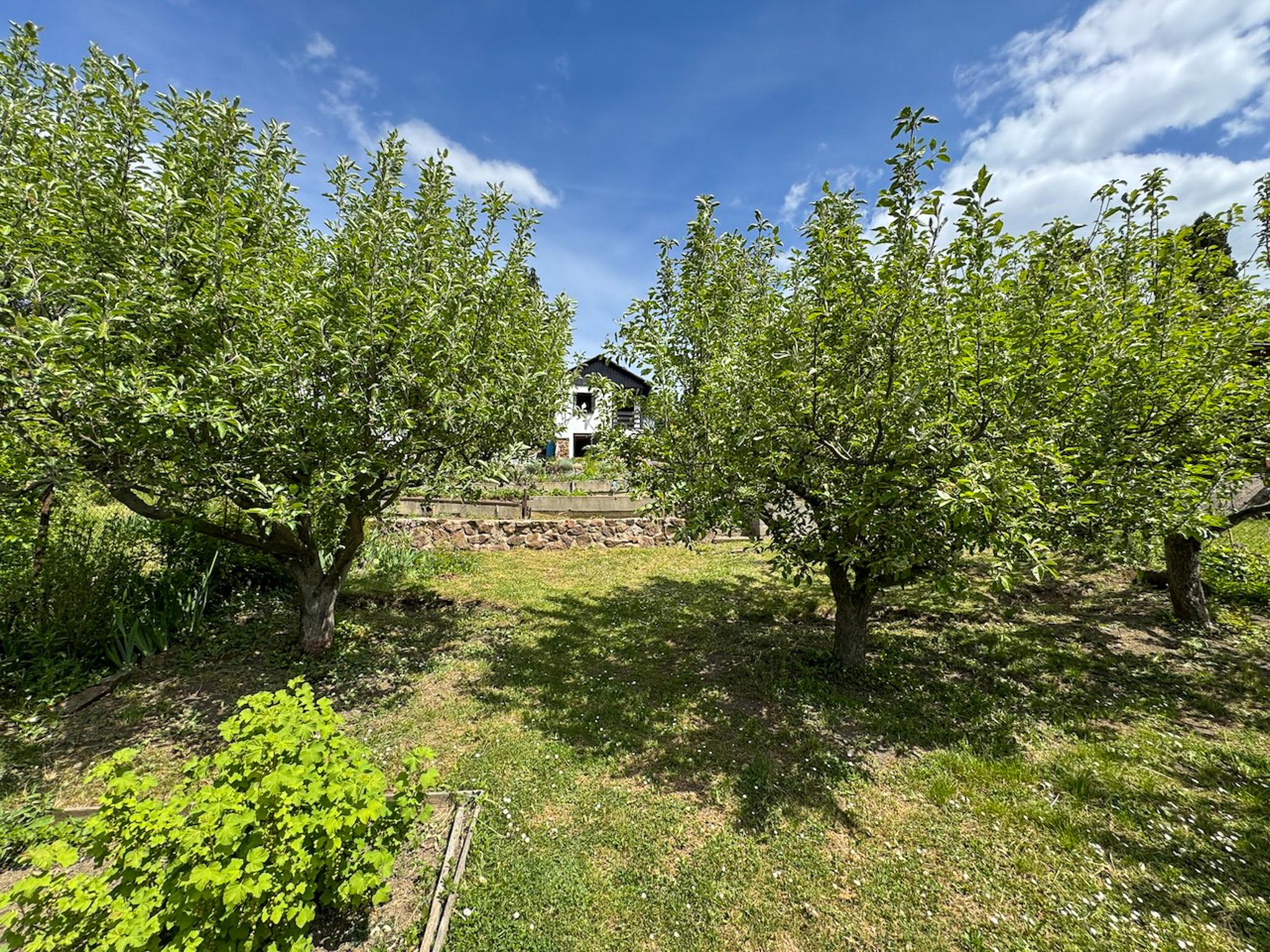 11pohled9.1747204948.jpg