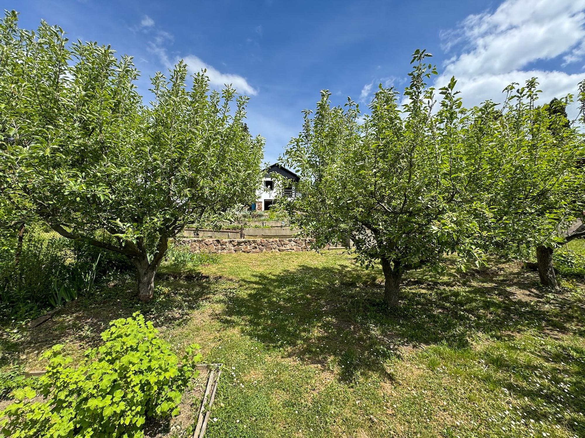 11pohled9.1747204948.jpg