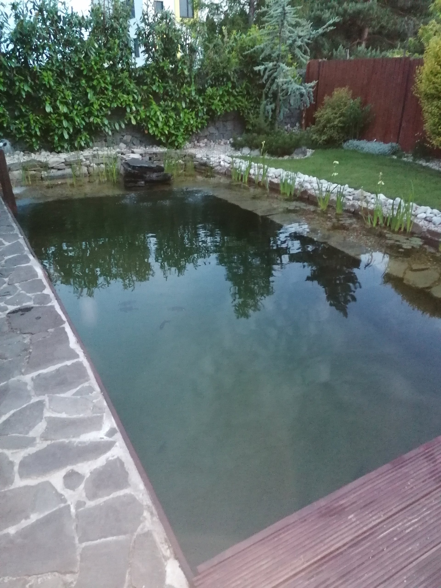 foto_26