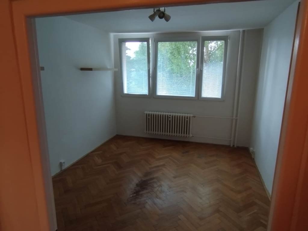 paveldatinsky posílá fotografii(7)