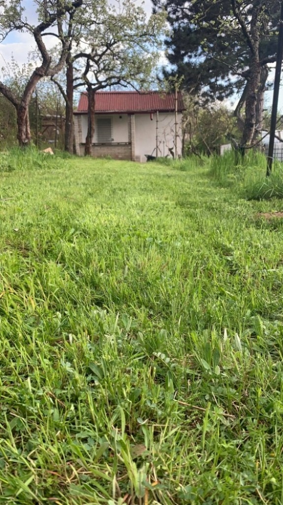 received_255429853565850