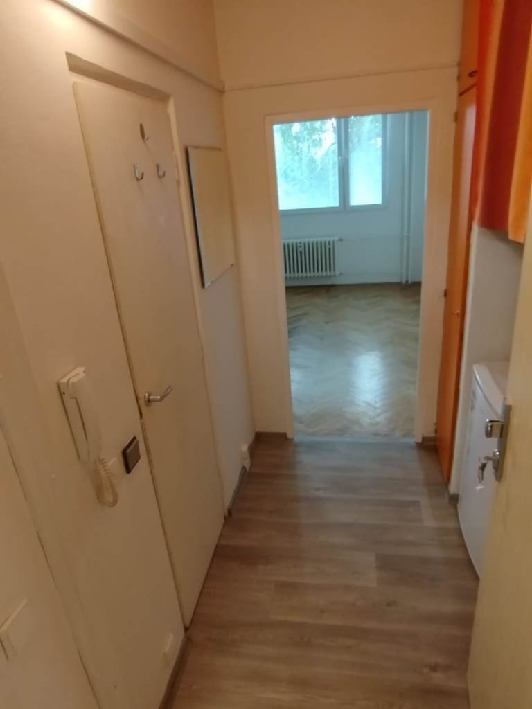 paveldatinsky posílá fotografii(1)