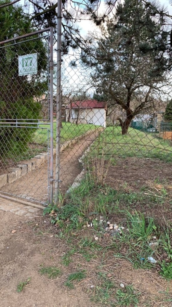 received_736002658028805