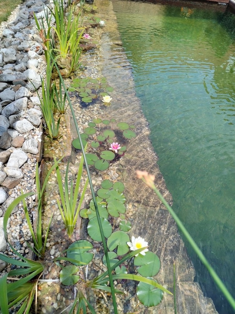 foto_27