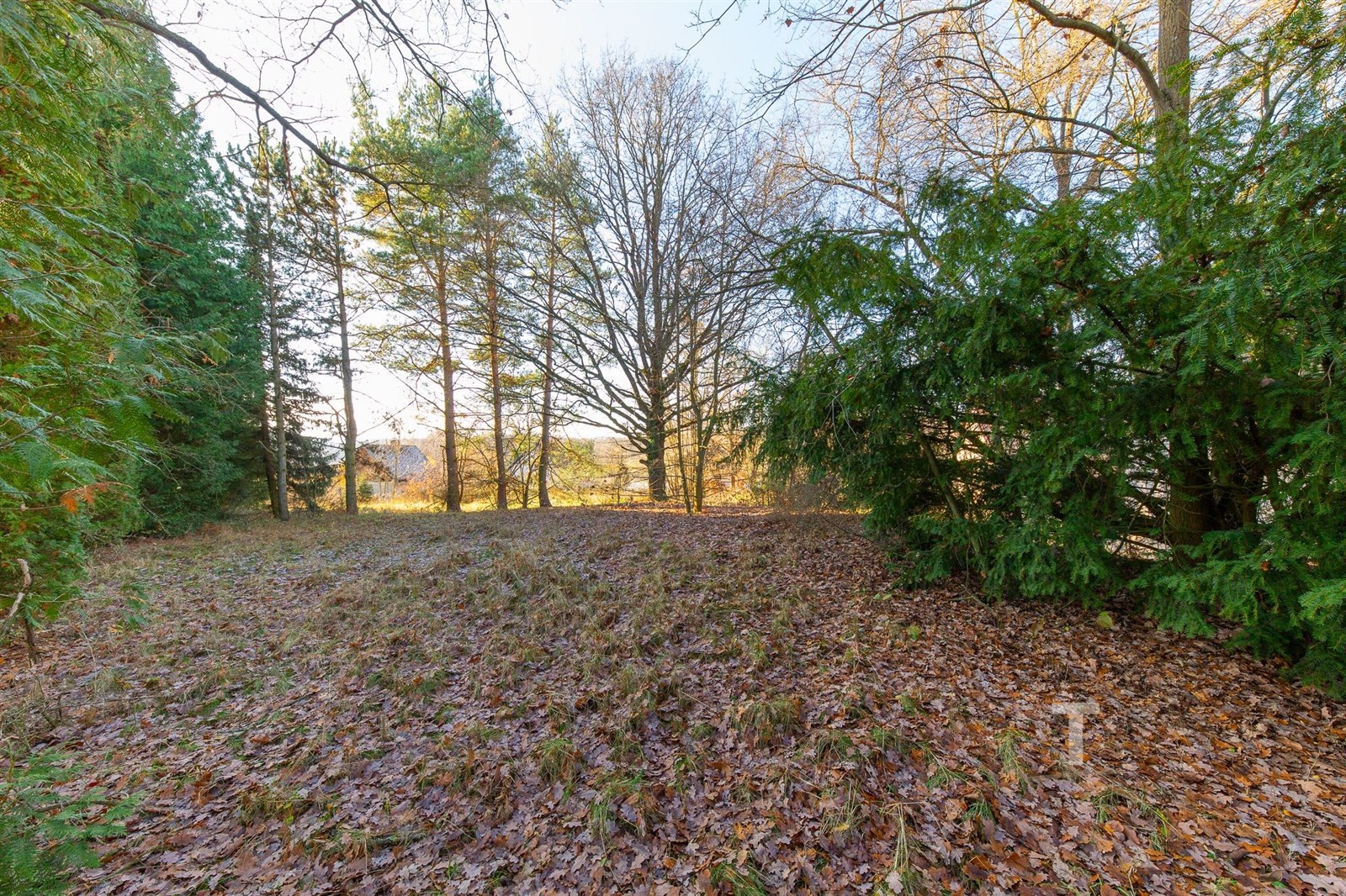 Prostorná zahrada s listnatými a jehličnatými stromy, přírodní prostředí, ideální pro relaxaci a soukromí.