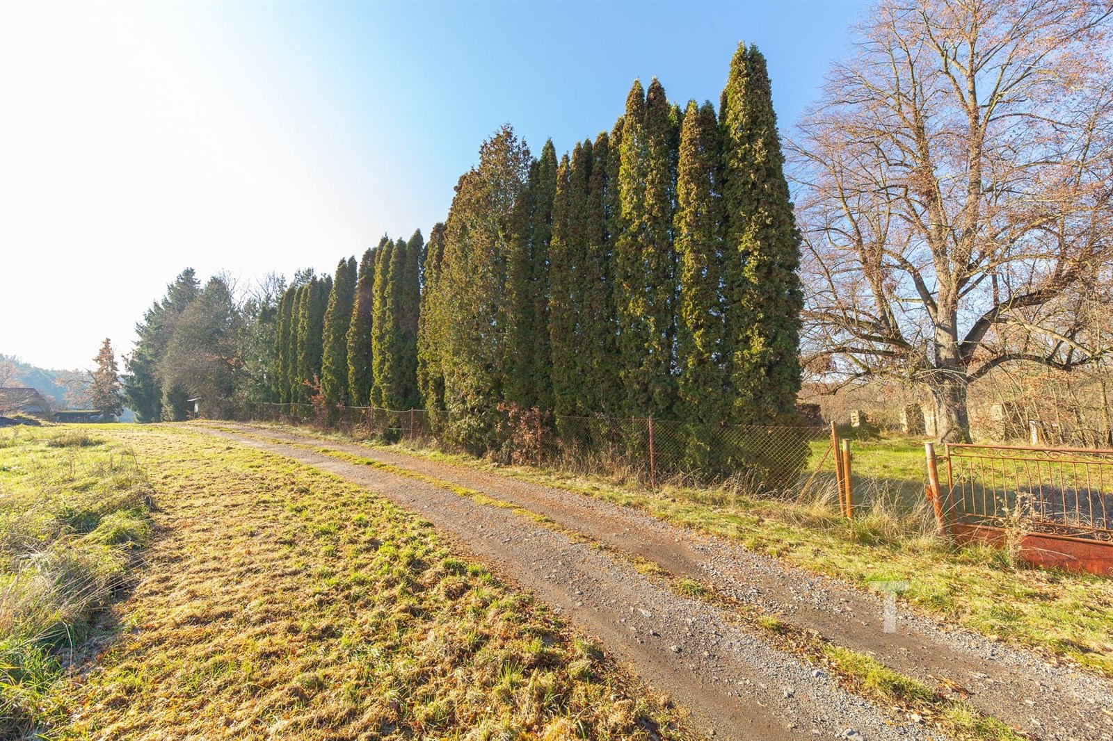 Venkovní prostor s polní cestou, lemovaný vysokými jehličnatými stromy a oplocením, ideální pro milovníky přírody, klidná lokalita.
