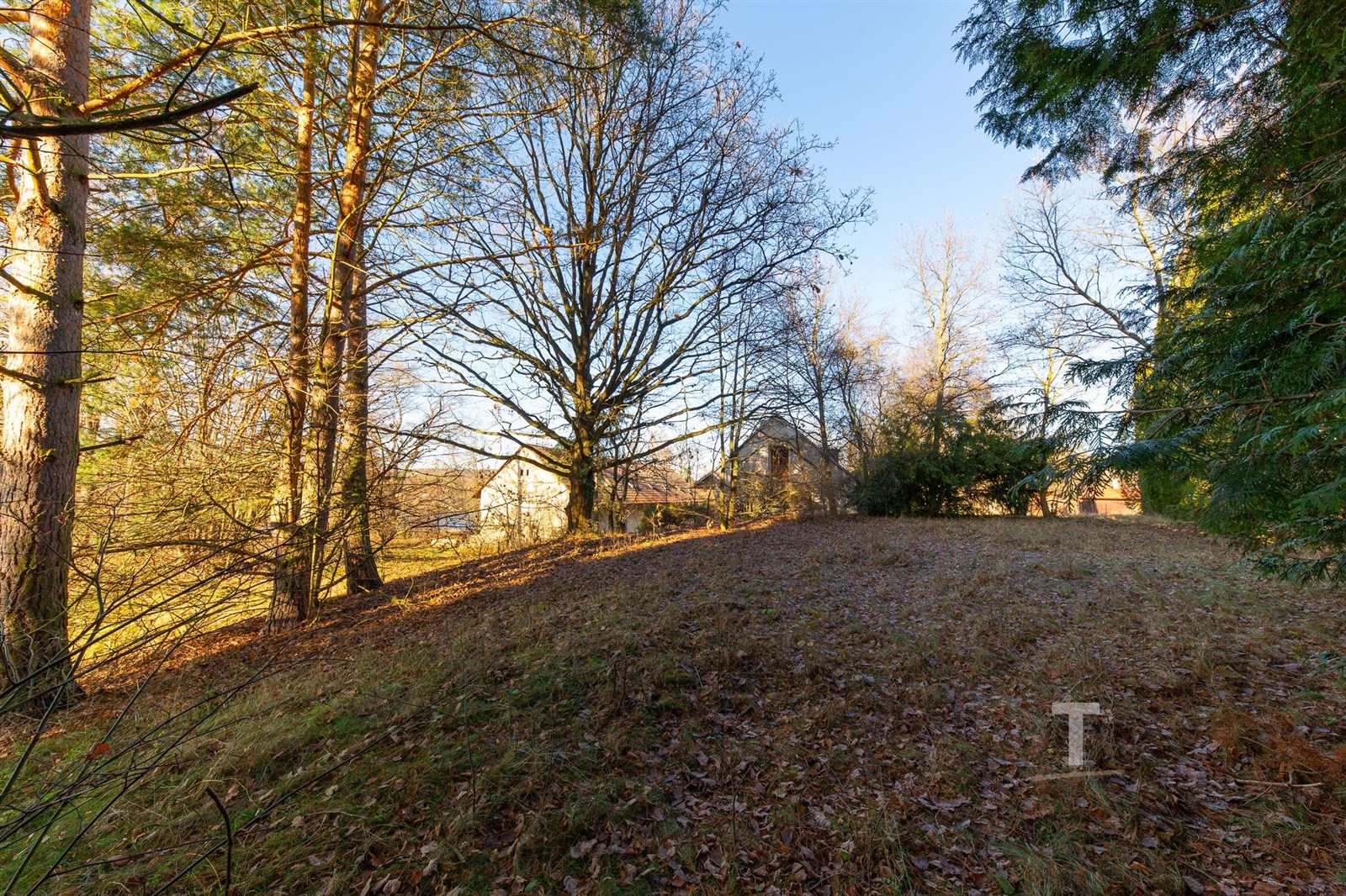 Rozlehlý pozemek s listnatými stromy nabízí klidné prostředí, ideální pro výstavbu. Přírodní okolí poskytuje soukromí a relaxační atmosféru.