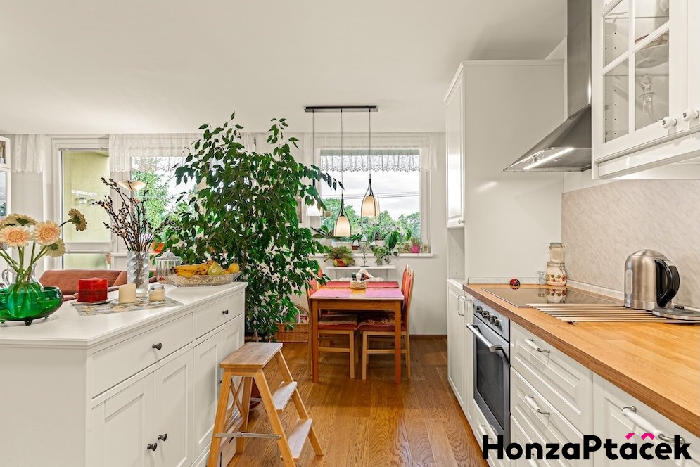 Prodej bytu Tr?ebes?ovska?, Horni? poc?ernice, Honza Pta?c?ek - realitni? makle?r? v Praze, realitni