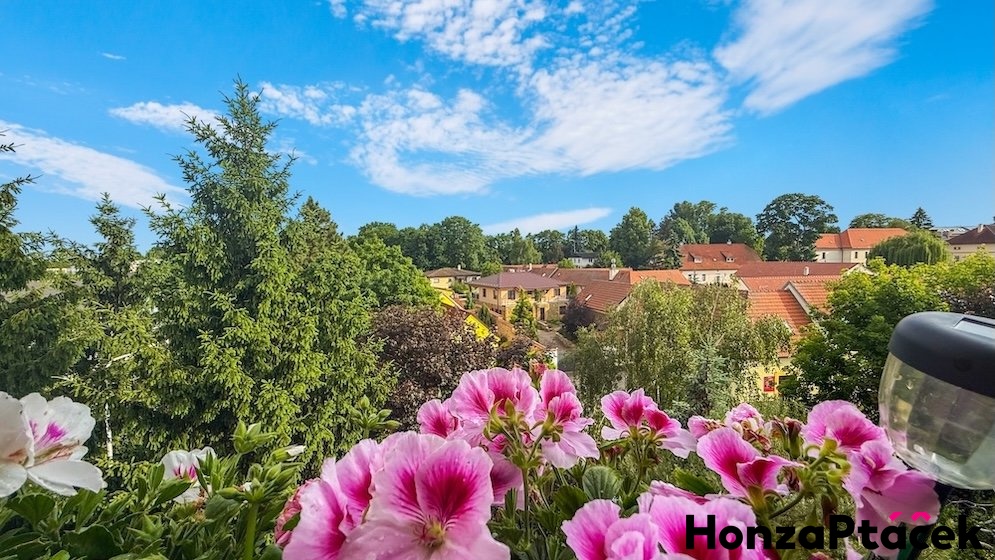 Prodej bytu Tr?ebes?ovska?, Horni? poc?ernice, Honza Pta?c?ek - realitni? makle?r? v Praze, realitni