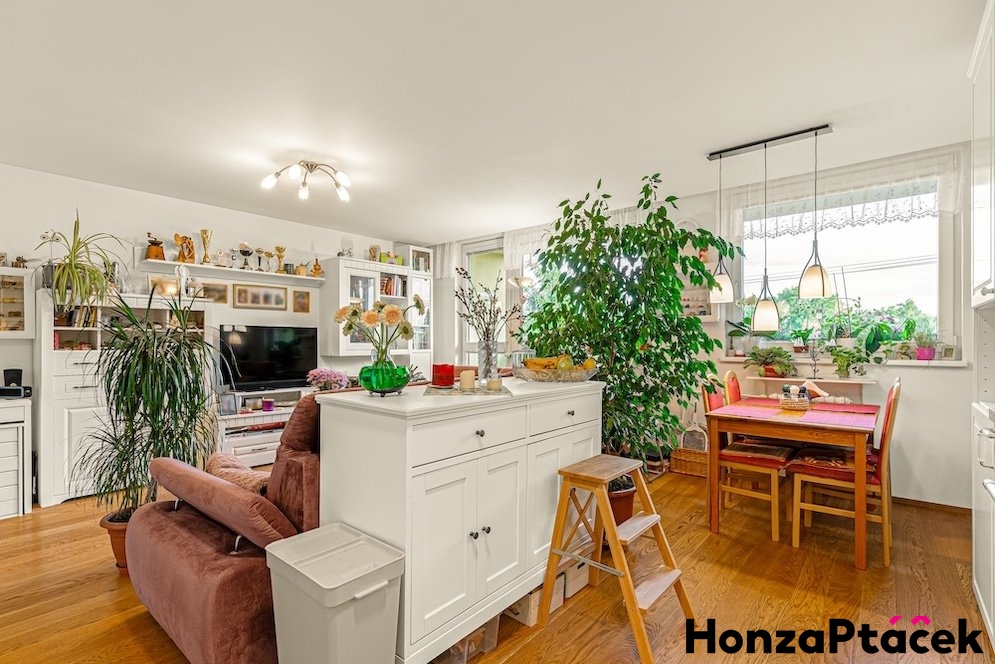 Prodej bytu Tr?ebes?ovska?, Horni? poc?ernice, Honza Pta?c?ek - realitni? makle?r? v Praze, realitni