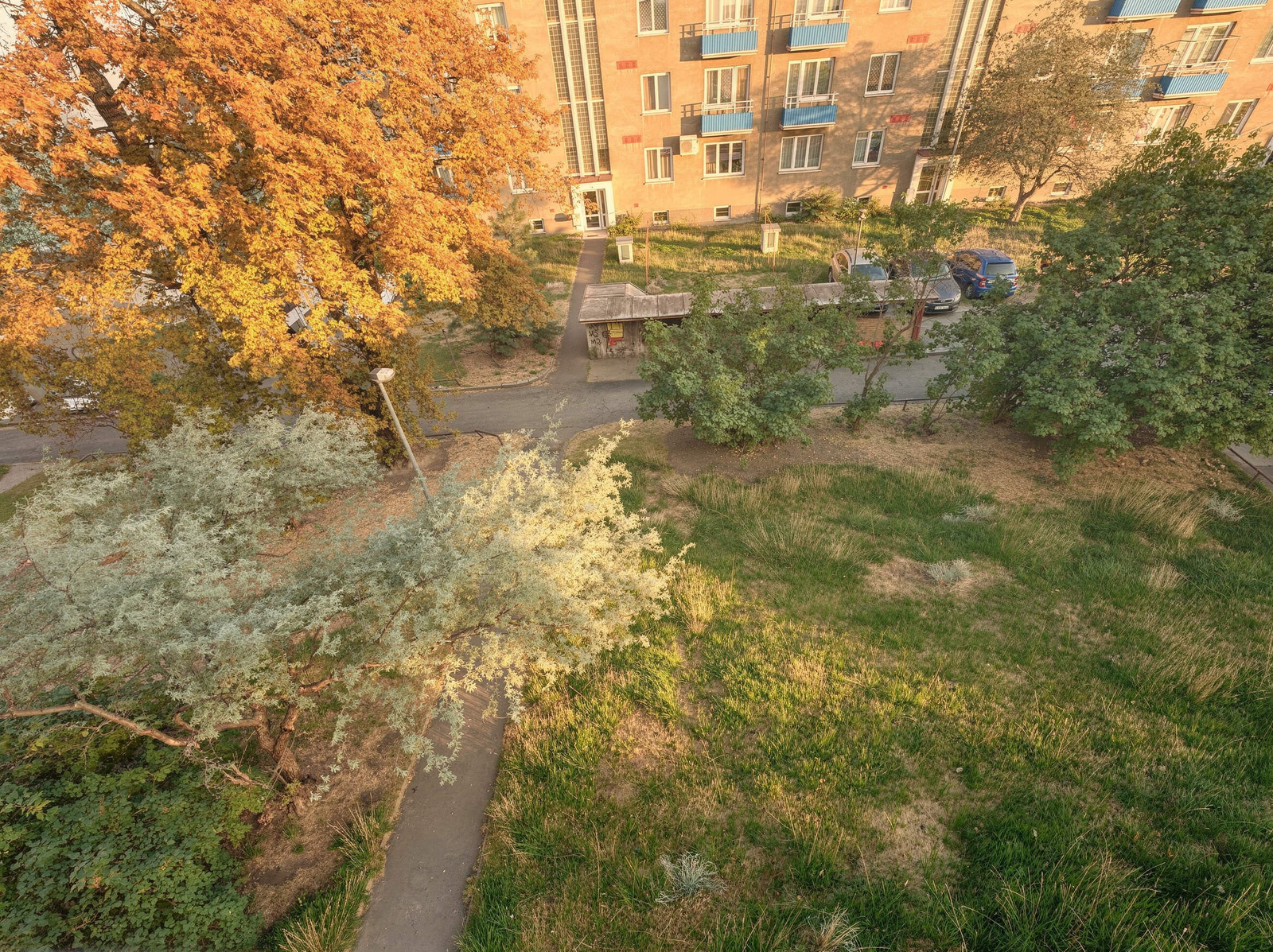 Zeleň ve vnitrobloku pod okny bytu na Gruzínské; k