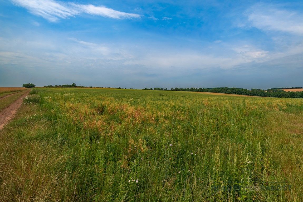 Prodej zemědělské půdy, 5 683 m² Brno (okres Brno-město), Líšeň, Holzova, obrázek 2