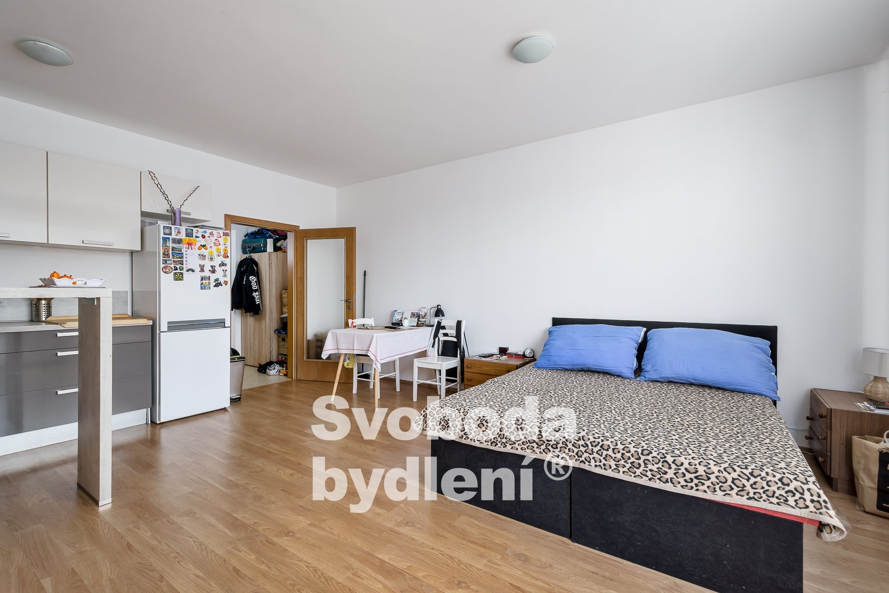 Pavla_Benese-3
