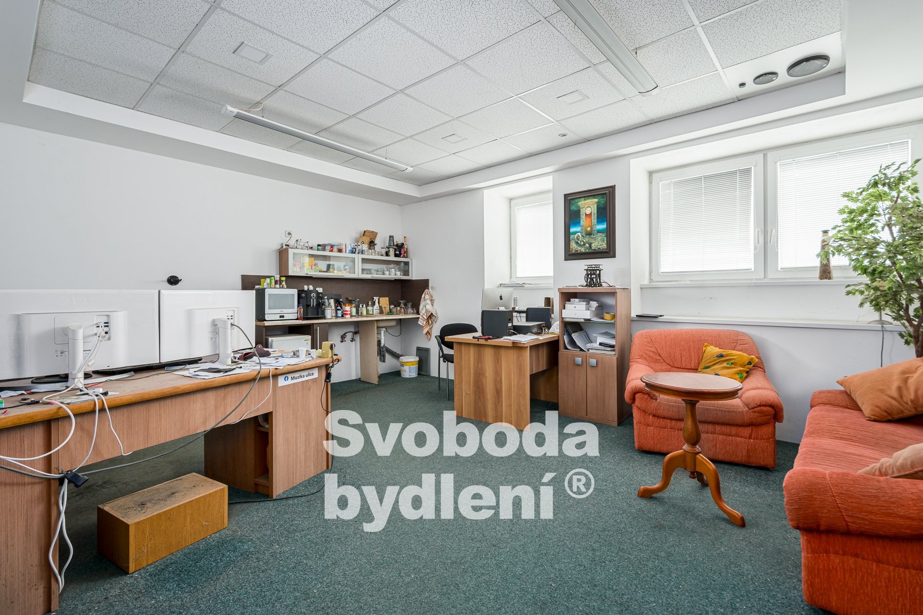 Srbice-09