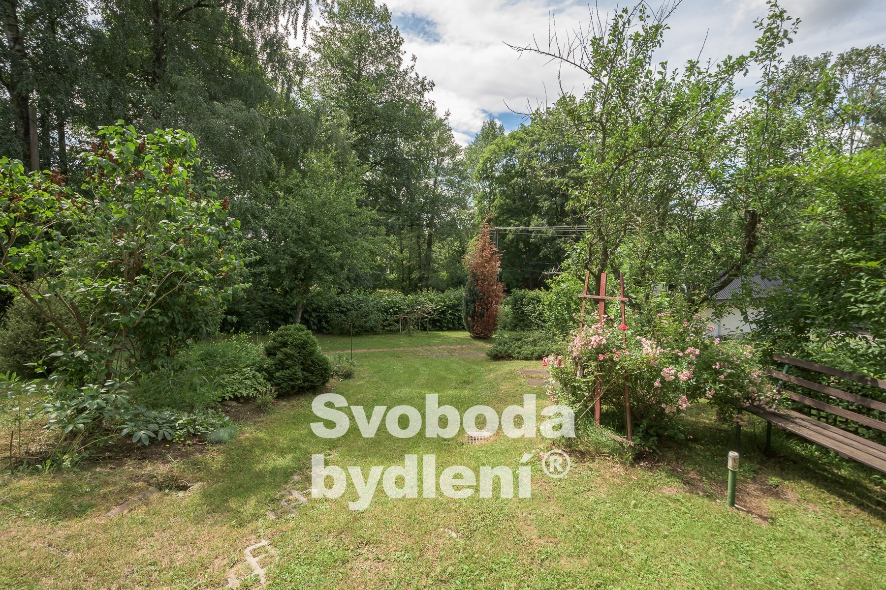 Bojanov2-02