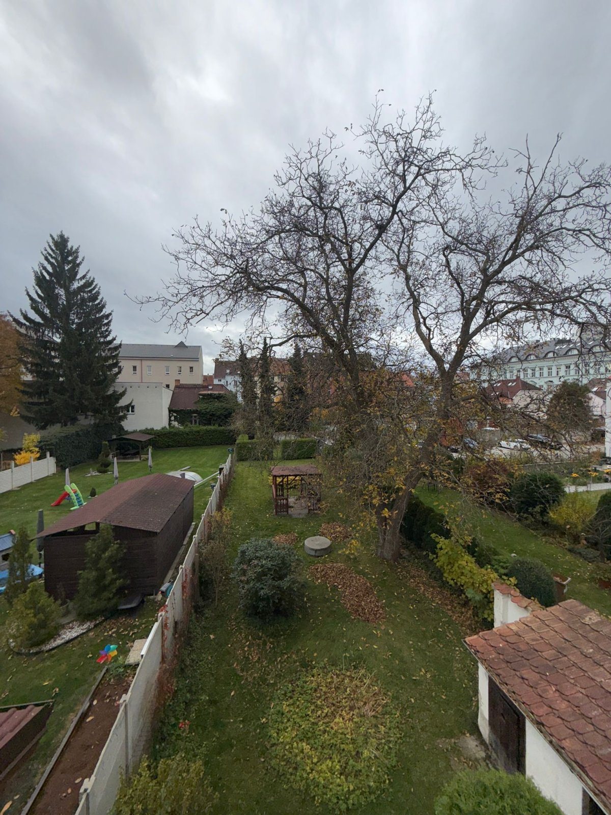 Obrázek WhatsApp, 2025-10-30 v 10.26.50_4ad2db1d.jpg