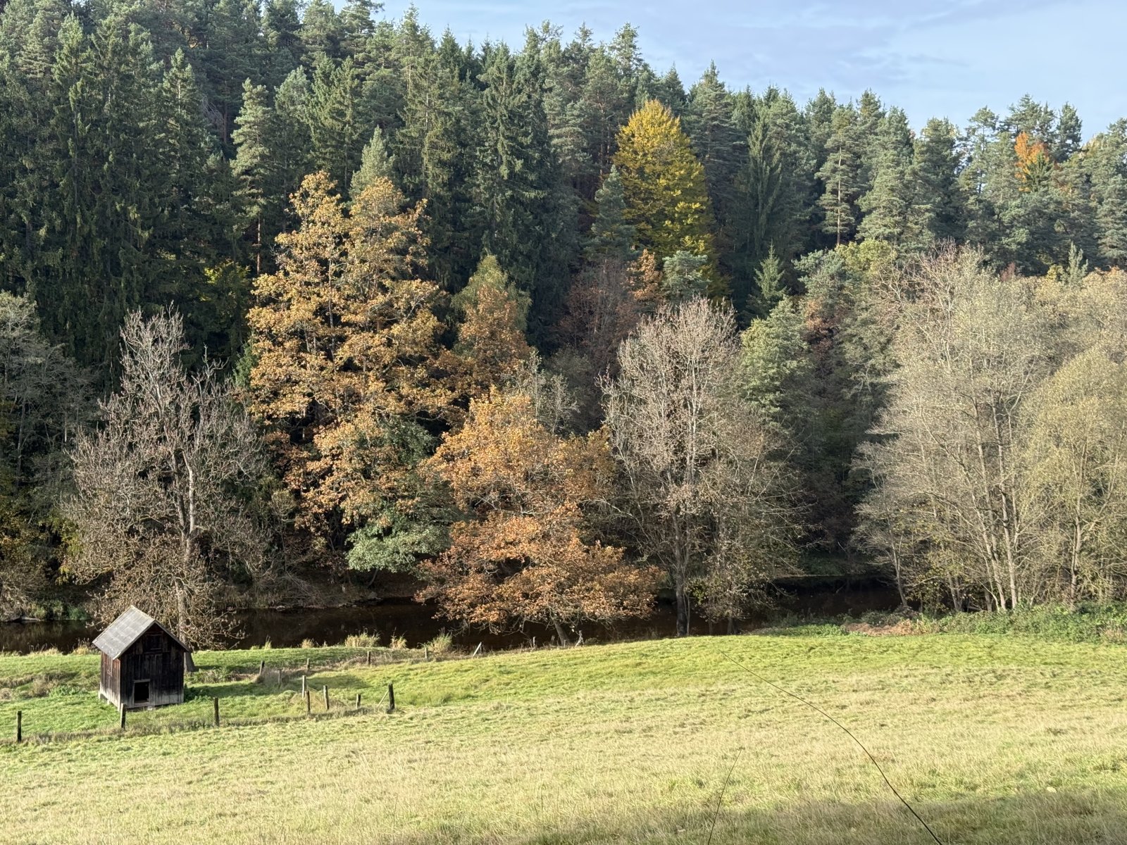 IMG_9097.jpeg