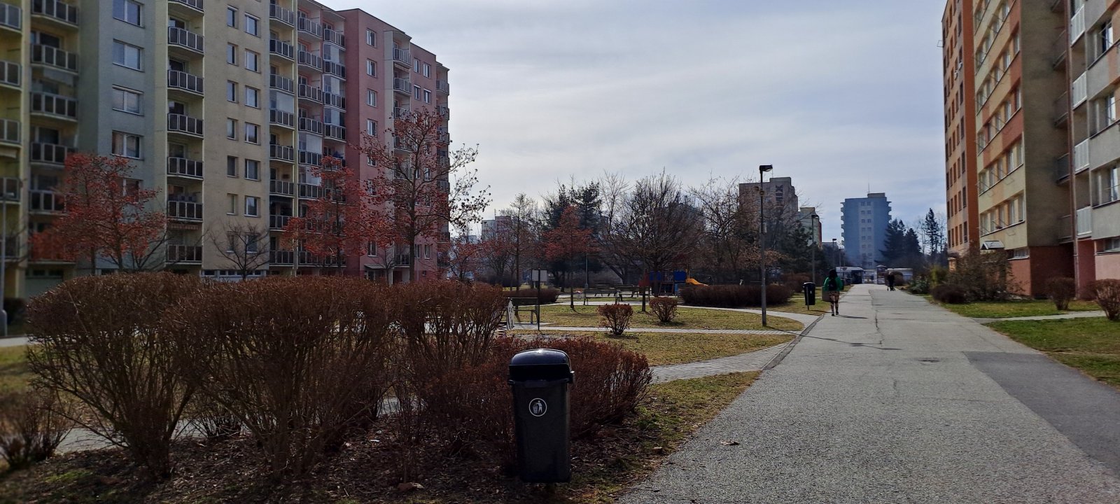 20250304_105248.jpg