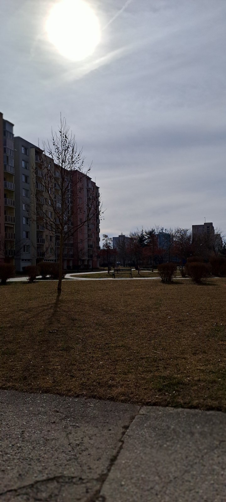 20250304_105315.jpg