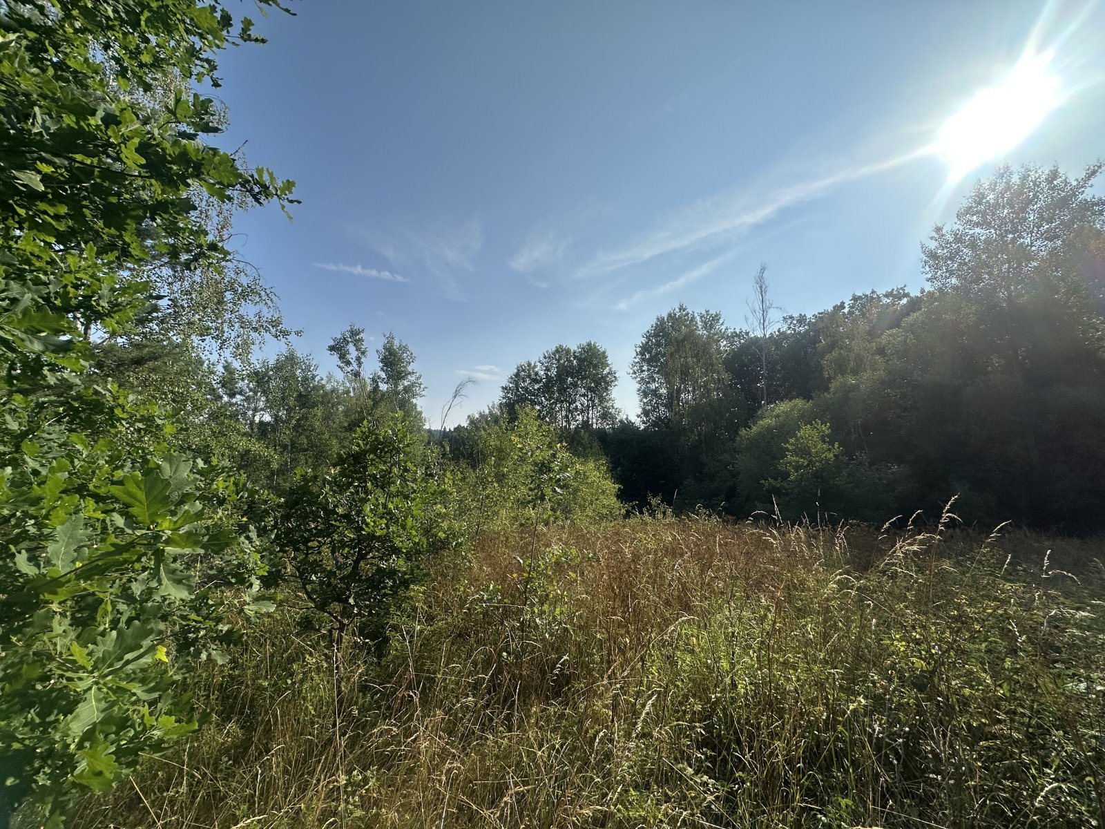 IMG_5450.jpeg