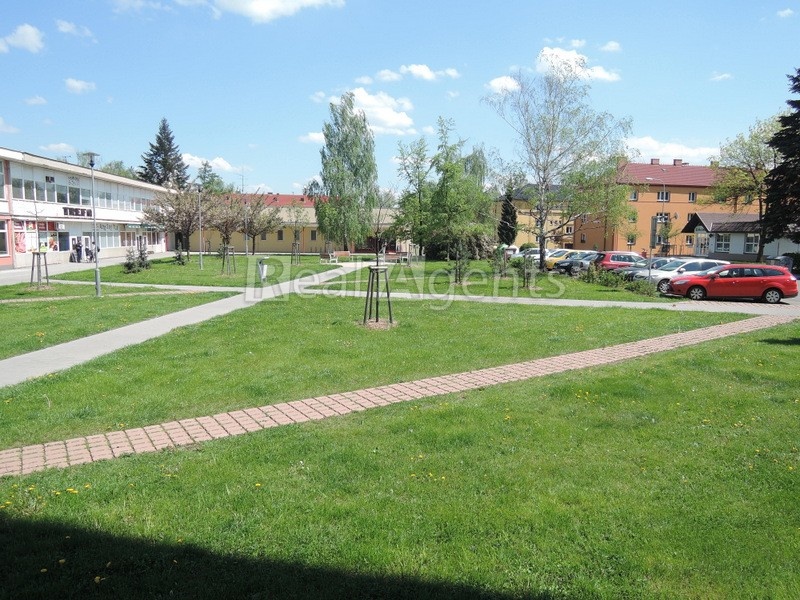 výhled