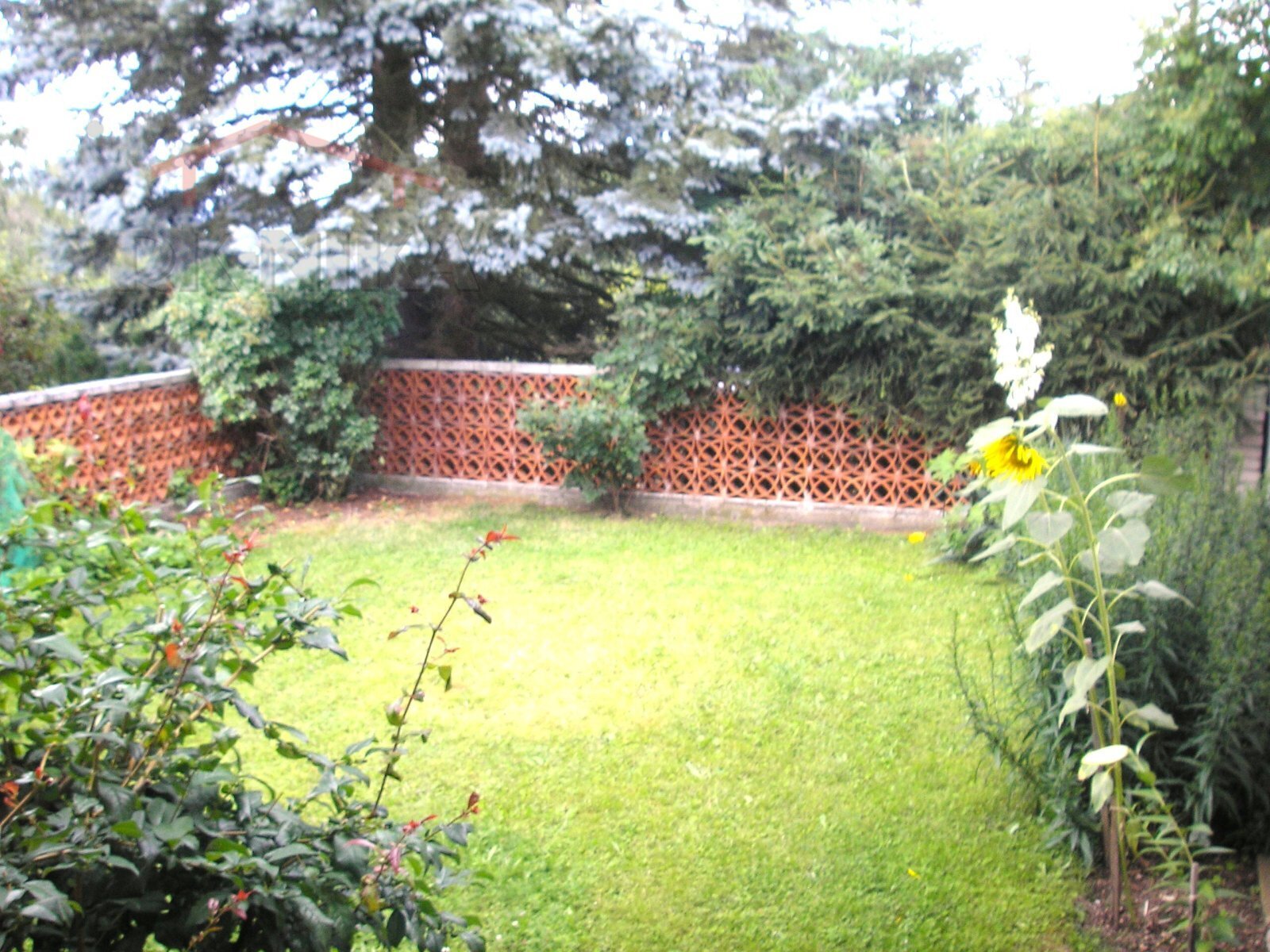 P1010157atrium21.JPG