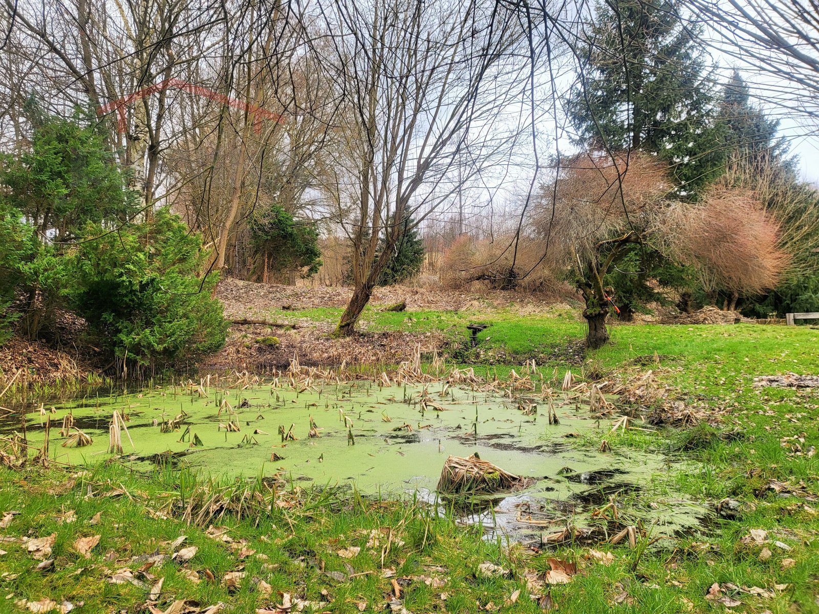 prostřední rybník, nad chatou p.č. 46-24.jpg