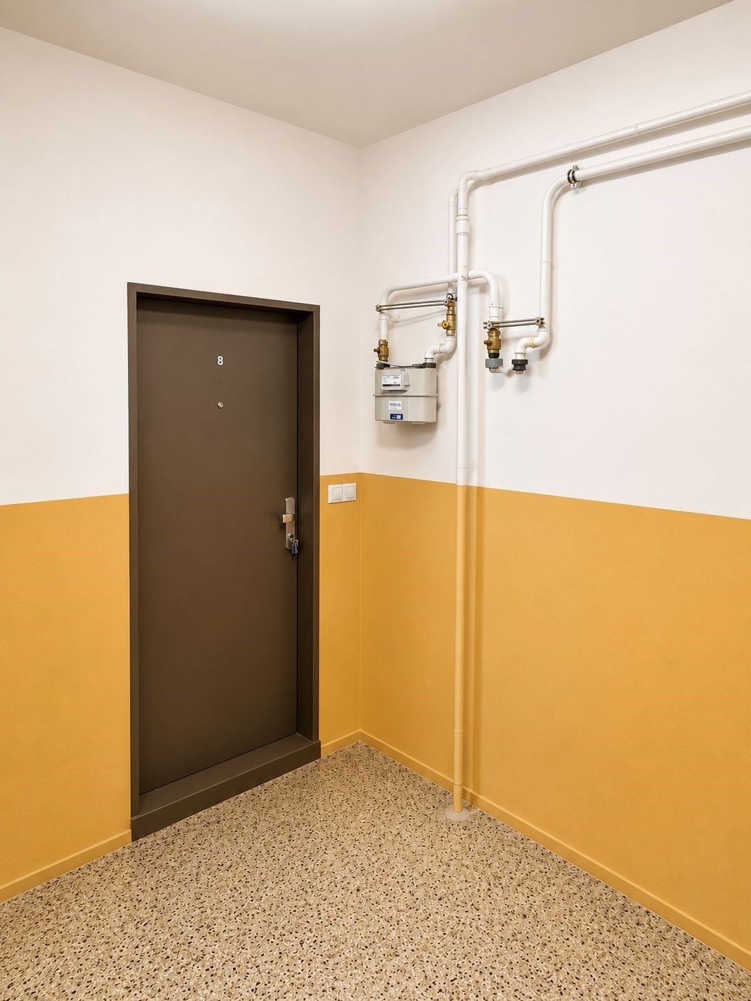 Vstupní hala se světle hnědými stěnami, teracová podlaha, plynoměr na stěně, nově renovovaná.