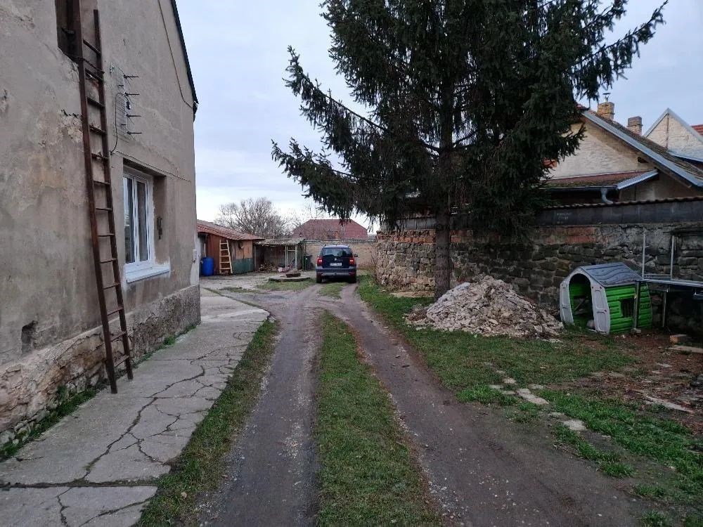 zahrada