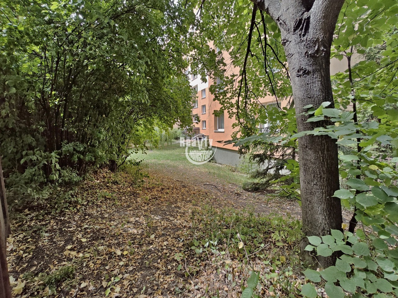 Fotka 6