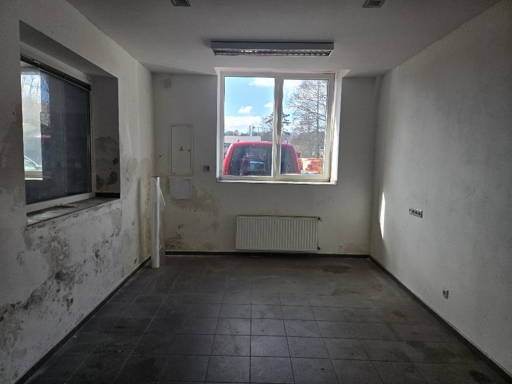 20260317_110004_resized