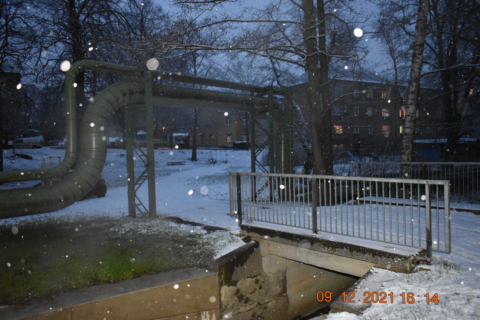 SUH_0031 (3)