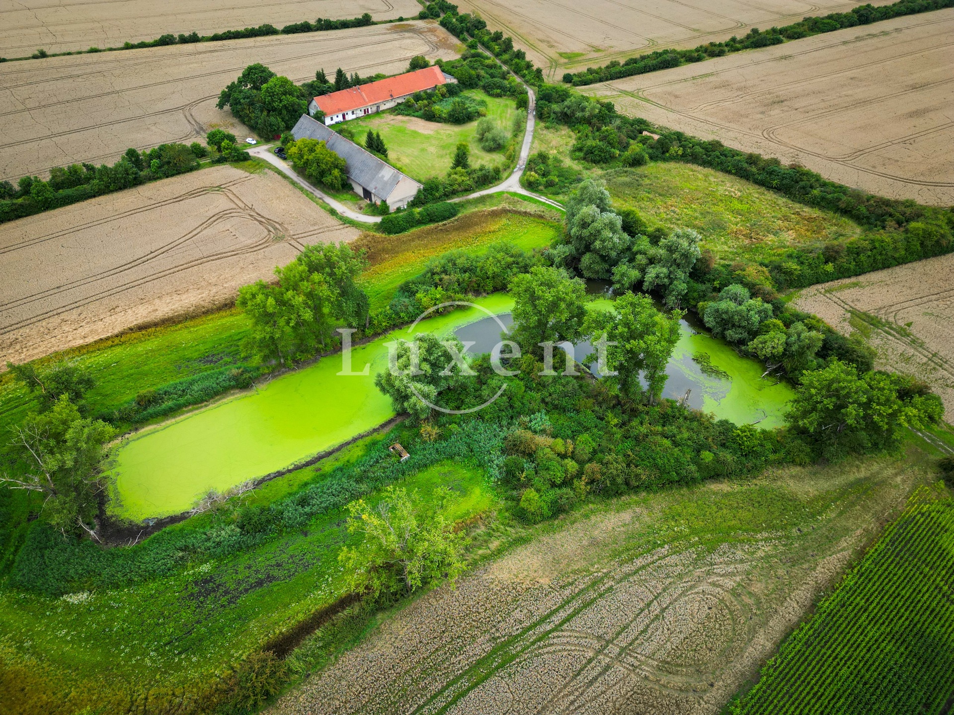 pohled od rybníka